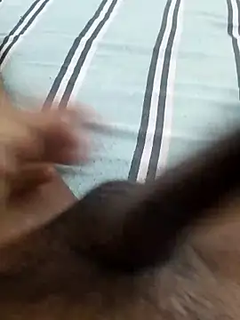 desi pb02 online show from February 28, 2026, 4:12 am