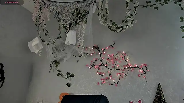 boozekirs  online show from October 29, 2025, 3:05 am