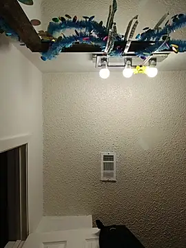 HTXBELLE online show from February 23, 2026, 10:10 pm