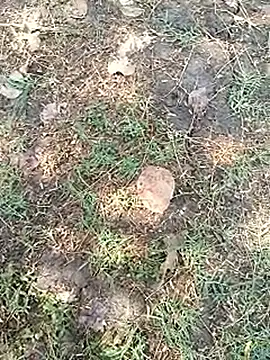 bairobunde online show from April 5, 2026, 8:10 am