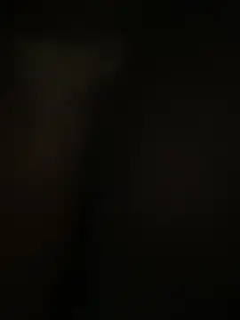 yasmimbrasileirinha online show from April 1, 2026, 3:53 pm