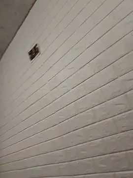 JairElGrillo online show from October 16, 2025, 5:54 pm