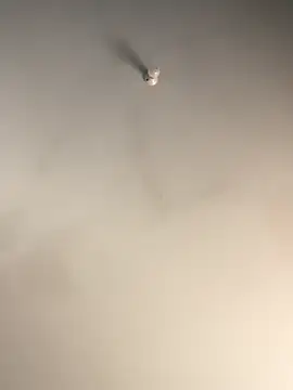 Snapshot of 1Zoey101 chatting on December 2, 2025, 7:32 am 1Zoey101 online show from December 2, 2025, 7:32 am