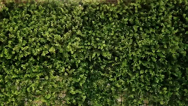 Snapshot of _little_blake chatting on October 16, 2025, 10:01 am little blake online show from October 16, 2025, 10:01 am