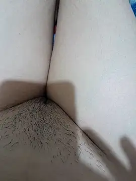 yakot7 online show from November 14, 2025, 12:14 am