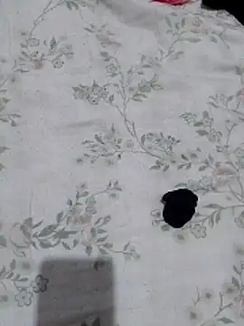 viviksmel online show from April 24, 2026, 4:09 pm