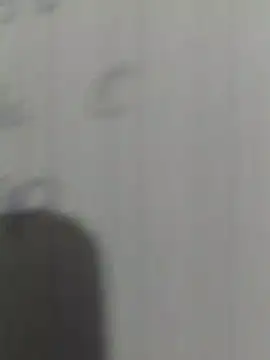 viviksmel online show from April 15, 2026, 2:54 pm