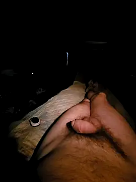 aleksis1313 online show from March 19, 2025, 5:50 pm