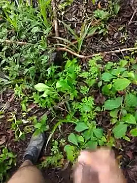 Snapshot of paugrosso553 chatting on March 19, 2026, 7:58 pm paugrosso553 online show from March 19, 2026, 7:58 pm