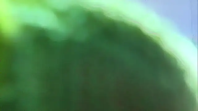 Snapshot of AvaX_777 chatting on October 13, 2025, 12:29 pm AvaX 777 online show from October 13, 2025, 12:29 pm