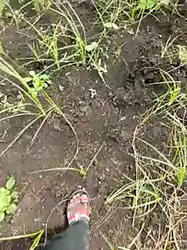 Snapshot of himvilohi08 chatting on October 1, 2025, 5:34 am himvilohi08 online show from October 1, 2025, 5:34 am