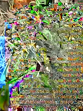 Snapshot of himvilohi08 chatting on September 27, 2025, 12:33 pm himvilohi08 online show from September 27, 2025, 12:33 pm