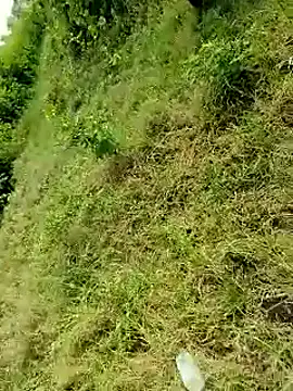 Snapshot of himvilohi08 chatting on October 6, 2025, 4:13 am himvilohi08 online show from October 6, 2025, 4:13 am