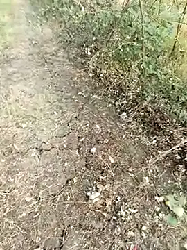 himvilohi08 online show from February 13, 2026, 11:32 am