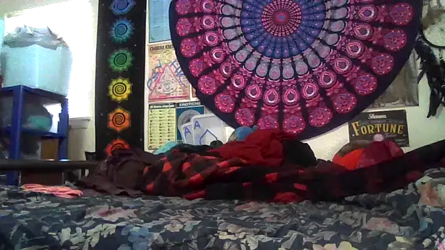 GardeniaFields online show from February 22, 2026, 8:43 pm