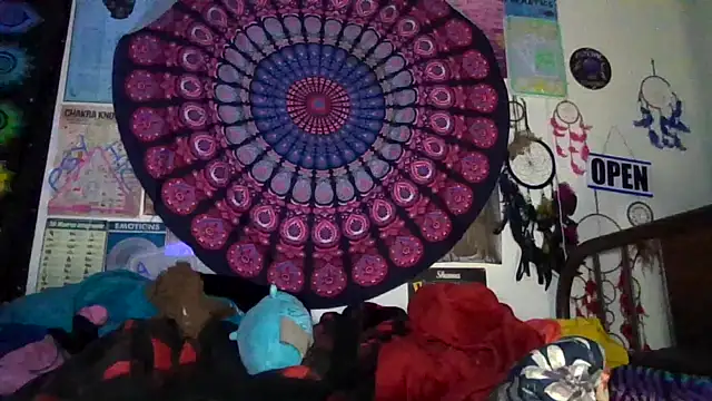 GardeniaFields online show from April 24, 2026, 9:22 am