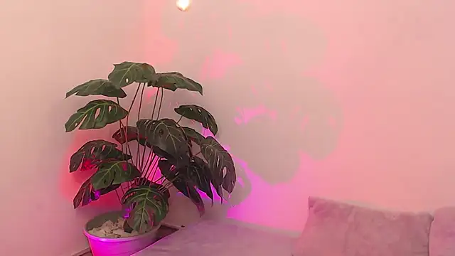 wet valery online show from April 18, 2026, 9:04 pm