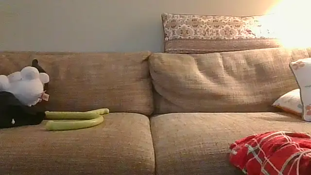 willtry online show from October 29, 2025, 3:05 am