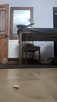 Snapshot of Nick-Ox chatting on February 13, 2026, 8:53 pm Nick-Ox online show from February 13, 2026, 8:53 pm