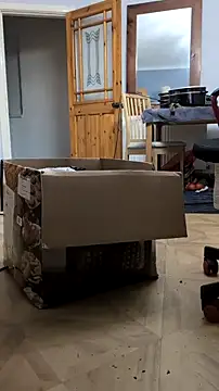 Snapshot of Nick-Ox chatting on February 24, 2026, 6:09 pm Nick-Ox online show from February 24, 2026, 6:09 pm