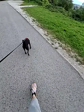 svenpfeifer online show from September 16, 2025, 6:58 am