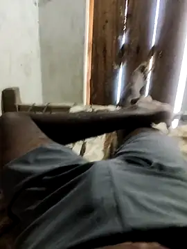 PolarFriend0 online show from February 20, 2026, 7:54 am