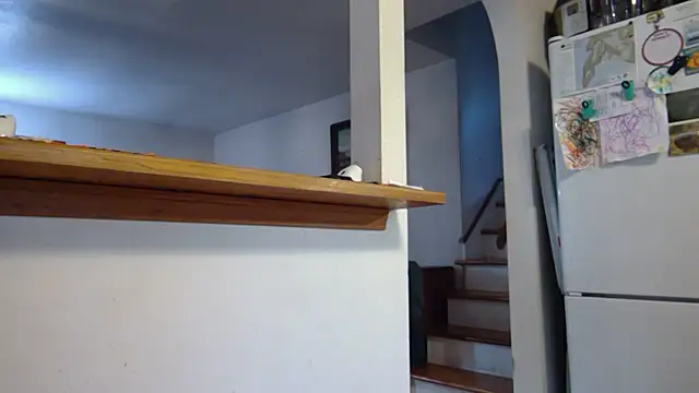 Snapshot of jonnygoodtimes chatting on November 15, 2025, 7:29 pm jonnygoodtimes online show from November 15, 2025, 7:29 pm