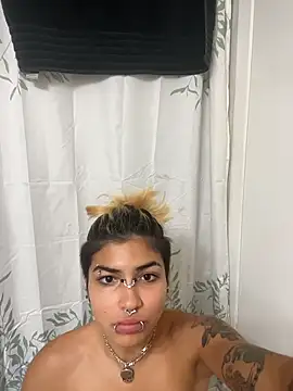 Harley cams online show from December 3, 2025, 5:23 pm