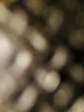 Snapshot of geilerschwanz556r7 chatting on September 30, 2025, 8:53 am geilerschwanz556r7 online show from September 30, 2025, 8:53 am