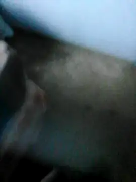 mydickbedarkandthick online show from November 21, 2025, 3:11 pm