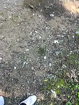 cihan 4141 online show from October 20, 2025, 8:59 am