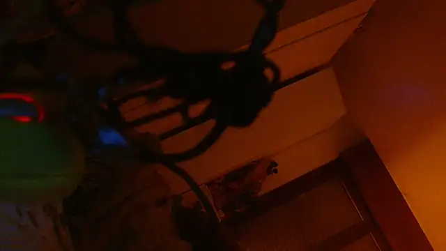 refem9 online show from February 10, 2026, 2:43 am