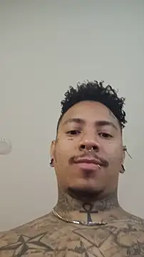 David tatto1 online show from November 9, 2025, 2:15 am