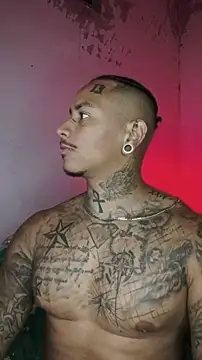 David tatto1 online show from February 13, 2026, 3:17 am