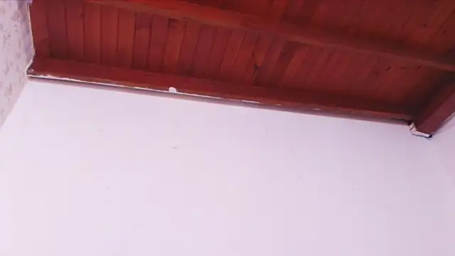 Snapshot of celeste_moonx chatting on October 10, 2025, 1:23 pm celeste moonx online show from October 10, 2025, 1:23 pm