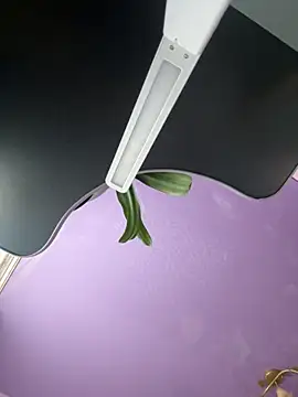 Snapshot of Soft_Pleasure chatting on October 30, 2025, 8:34 am Soft Pleasure online show from October 30, 2025, 8:34 am