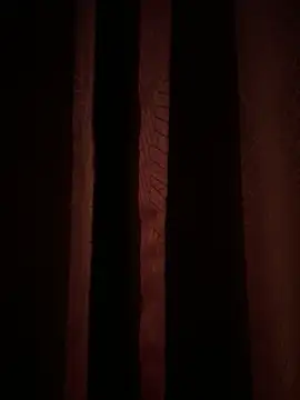 franciscommx online show from November 6, 2025, 3:21 am