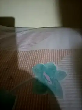 Snapshot of Nishi-2 chatting on September 25, 2025, 1:50 pm Nishi-2 online show from September 25, 2025, 1:50 pm