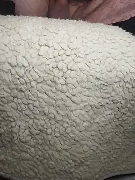 Snapshot of peepformance chatting on December 18, 2025, 7:35 am peepformance online show from December 18, 2025, 7:35 am