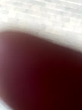 kamo012000 online show from October 9, 2025, 2:39 pm