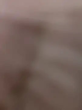 Esmeralda-berrys online show from February 12, 2026, 5:23 pm