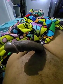 sexyboy fox online show from February 15, 2026, 11:03 pm