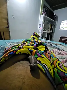 sexyboy fox online show from February 9, 2026, 3:37 am