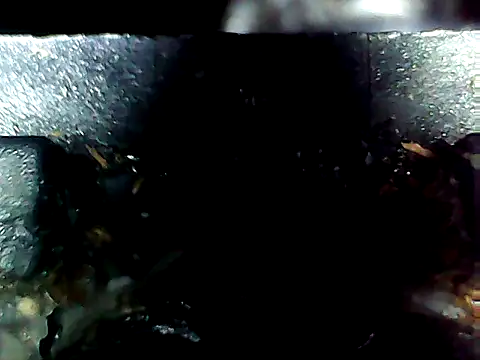 20cmloiro online show from April 10, 2026, 7:04 am