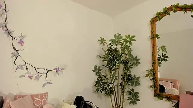 Snapshot of valerieMattson chatting on November 27, 2025, 4:29 pm valerieMattson online show from November 27, 2025, 4:29 pm