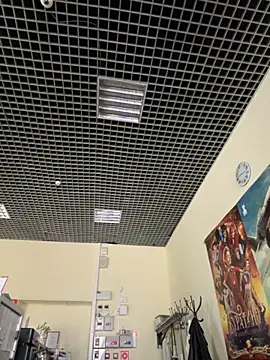 Snapshot of Liza_Will chatting on November 14, 2025, 6:17 am Liza Will online show from November 14, 2025, 6:17 am