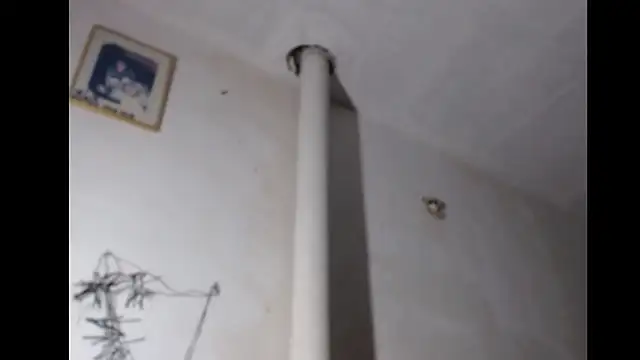 BebaFoxx online show from March 3, 2026, 8:21 am