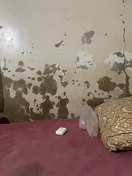 Snapshot of ParousFlow chatting on March 19, 2026, 12:43 am ParousFlow online show from March 19, 2026, 12:43 am