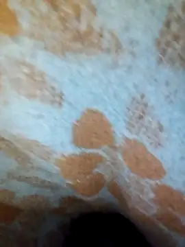 Snapshot of ParousFlow chatting on April 15, 2026, 10:10 pm ParousFlow online show from April 15, 2026, 10:10 pm