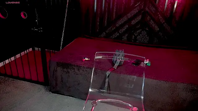 LiviaShy online show from December 2, 2025, 2:41 pm